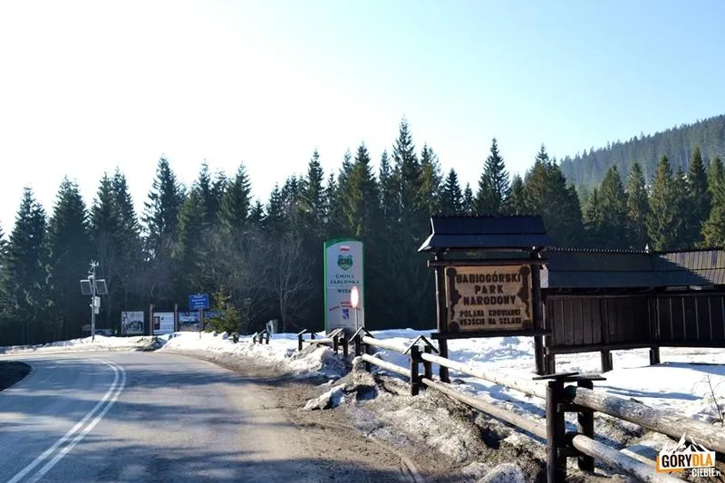 Motocyklowe przygody w naturze