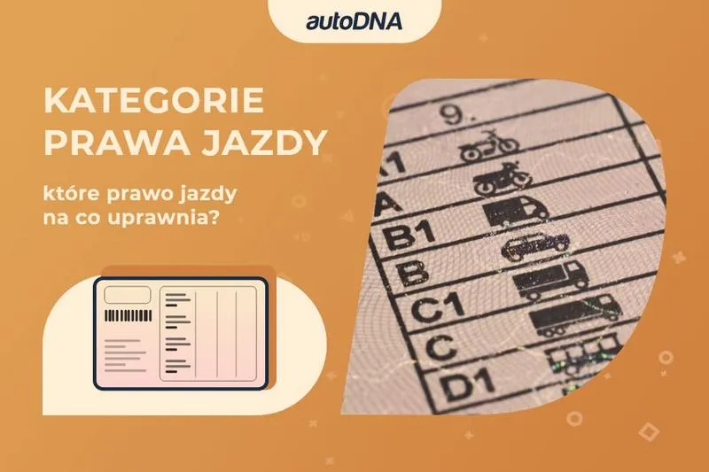 Prawo jazdy w Polsce