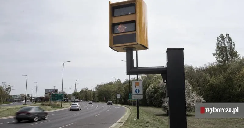 Taryfikator mandatów 2026